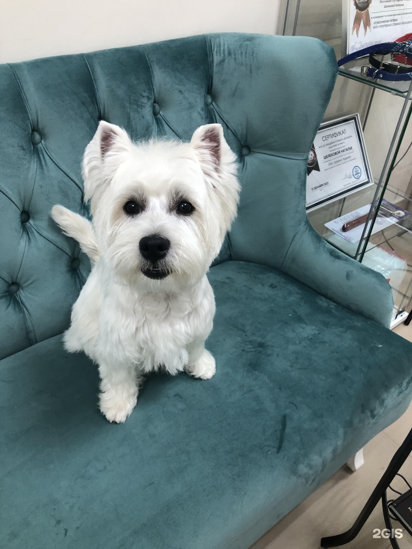 Доггидог новгородская ул 2 отзывы. Доггидог новгородская ул 2 отзывы. Доггидог новгородская ул 2 отзывы. Доггидог новгородская ул 2 отзывы. Доггидог новгородская ул 2 отзывы.