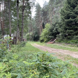 Фото от владельца Лотос, база отдыха