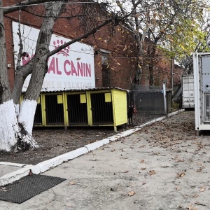 Фото от владельца Люкс, гостиница для собак