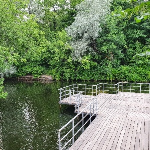 Фото от владельца Сокольники, парк культуры и отдыха