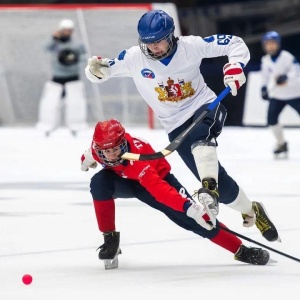 Фото от владельца Федерация хоккея с мячом России