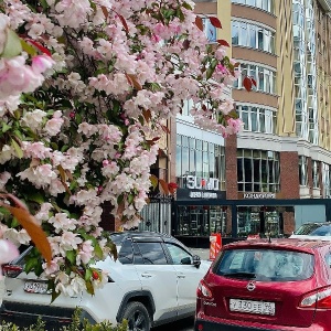 Фото от владельца Su Mo, японский ресторан