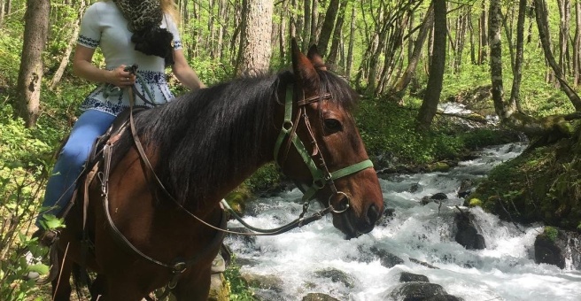 Комплекс Рыбино красная Поляна. Рыбино красная Поляна.