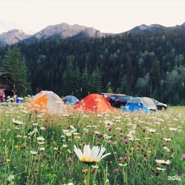 Our camp. скаут выживание в лесу. восхождение на килиманджаро альтеза. питч кемпинг. международная федерация кемпинга и караванинга.