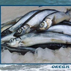 Фото от владельца Океан, сеть магазинов морепродуктов