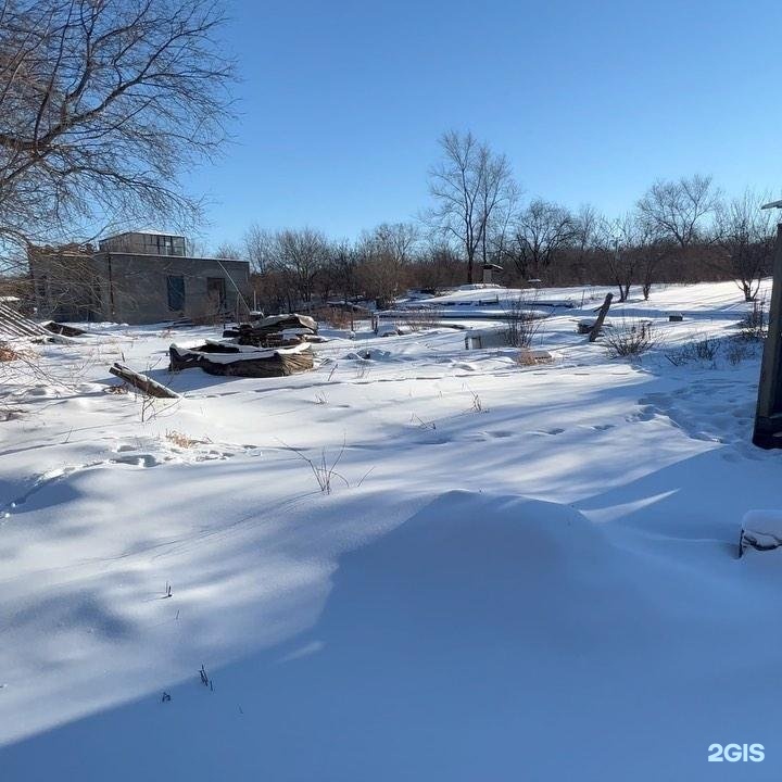 Горького 1 благовещенск