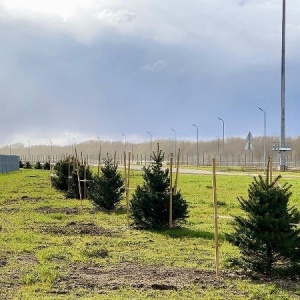 Фото от владельца Городской садовник