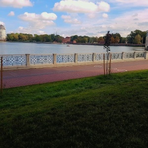 Фото от владельца Городской садовник