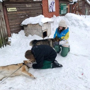 Фото от владельца Кот и Пес, приют для бездомных животных