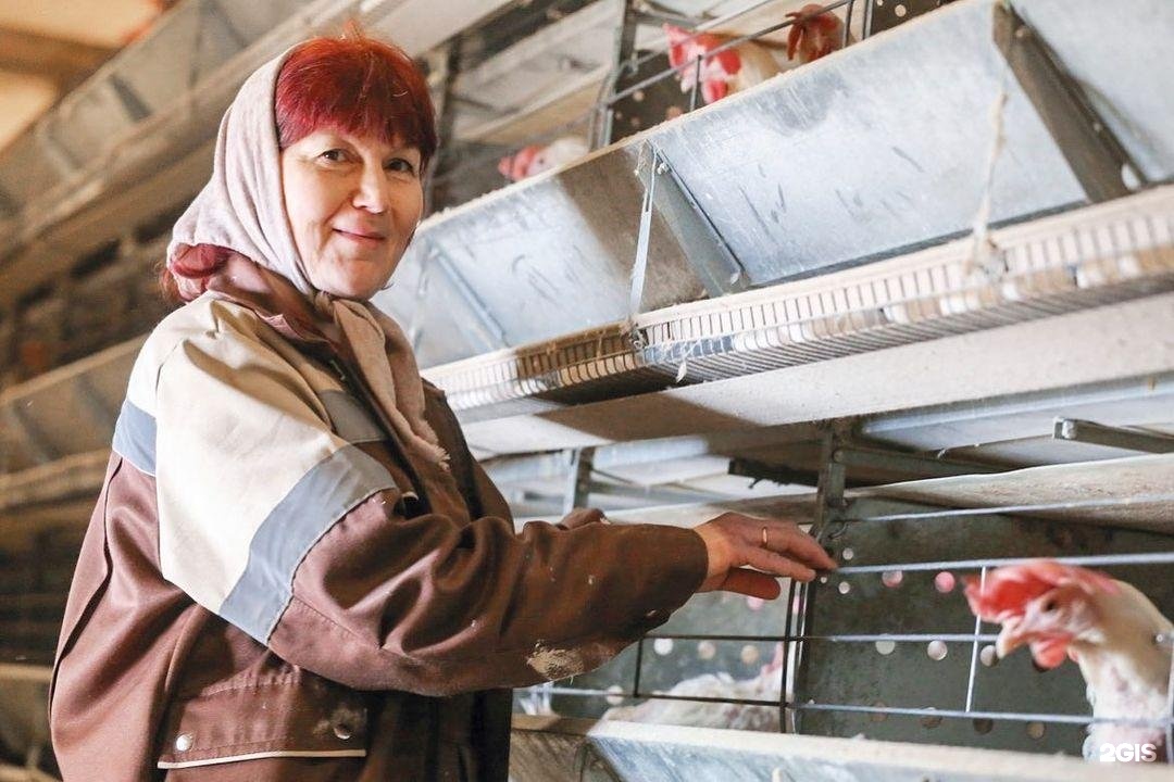 Птичница это. Работники сельхозпредприятий. Настоящие женщины на заводе. Лучшие сельхозпредприятия Татарстана. Сельхоз завод