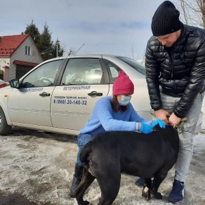 Фото от владельца Ветеринарная лечебница Московского района