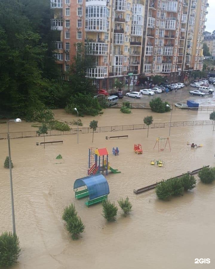 красногвардейская 42 омск мфц. ук доверие адлер управляющая. управляющая компания доверие адлер. ооо ук доверие. центр занятости ноябрьск.