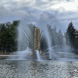 Фото от владельца ВДНХ, ОАО