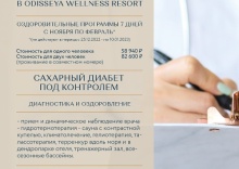 Лазаревское пос.: Санаторий Одиссея Wellness Resort