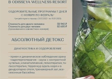 Лазаревское пос.: Санаторий Одиссея Wellness Resort