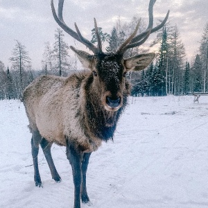 Фото от владельца Ижсплав, клуб активного отдыха