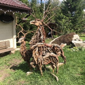 Фото от владельца Белокурихинский городской музей им. С.И. Гуляева