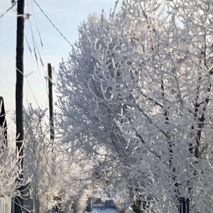 Фото от владельца Дружба, садоводческое товарищество