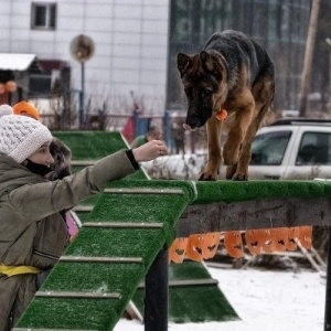 Фото от владельца Собачья Академия, центр дрессировки