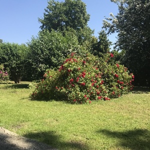 Фото от владельца Городская стоматологическая поликлиника