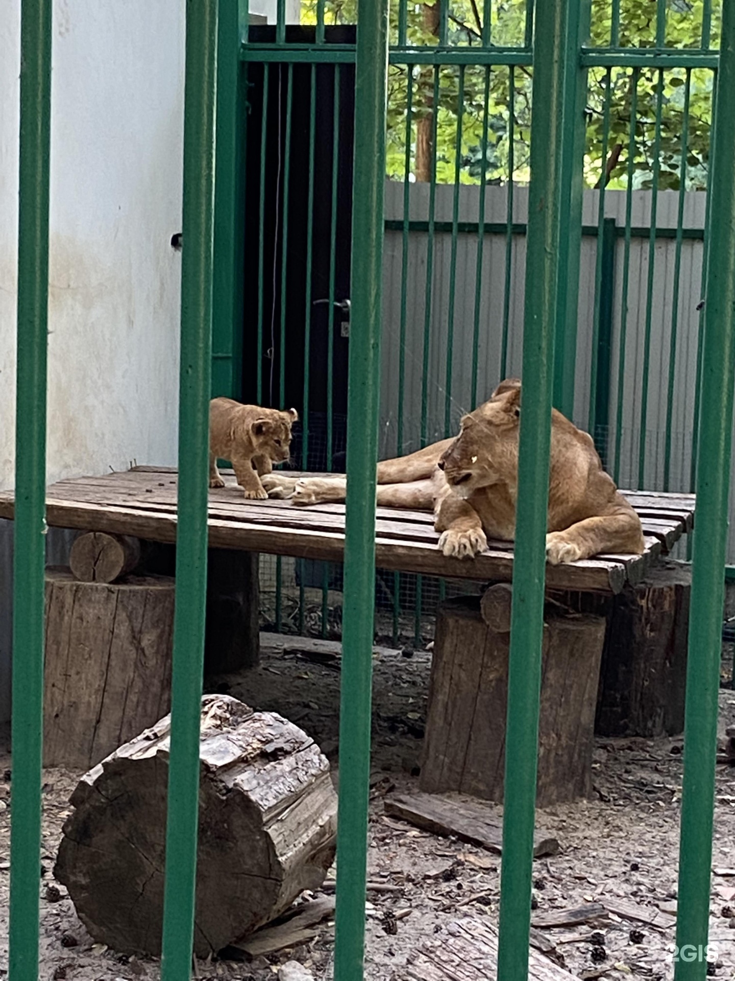 казань зоопарк новый адрес