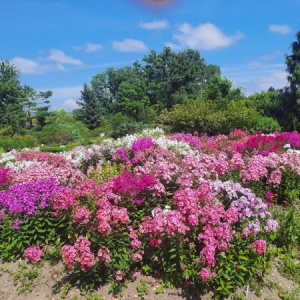 Фото от владельца Ботанический сад-институт ДВО РАН
