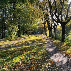 Фото от владельца Южный, ландшафтный парк