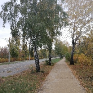 Фото от владельца Экологический парк, МБУ