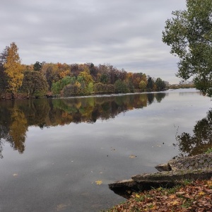 Фото от владельца Царицыно, парк культуры и отдыха