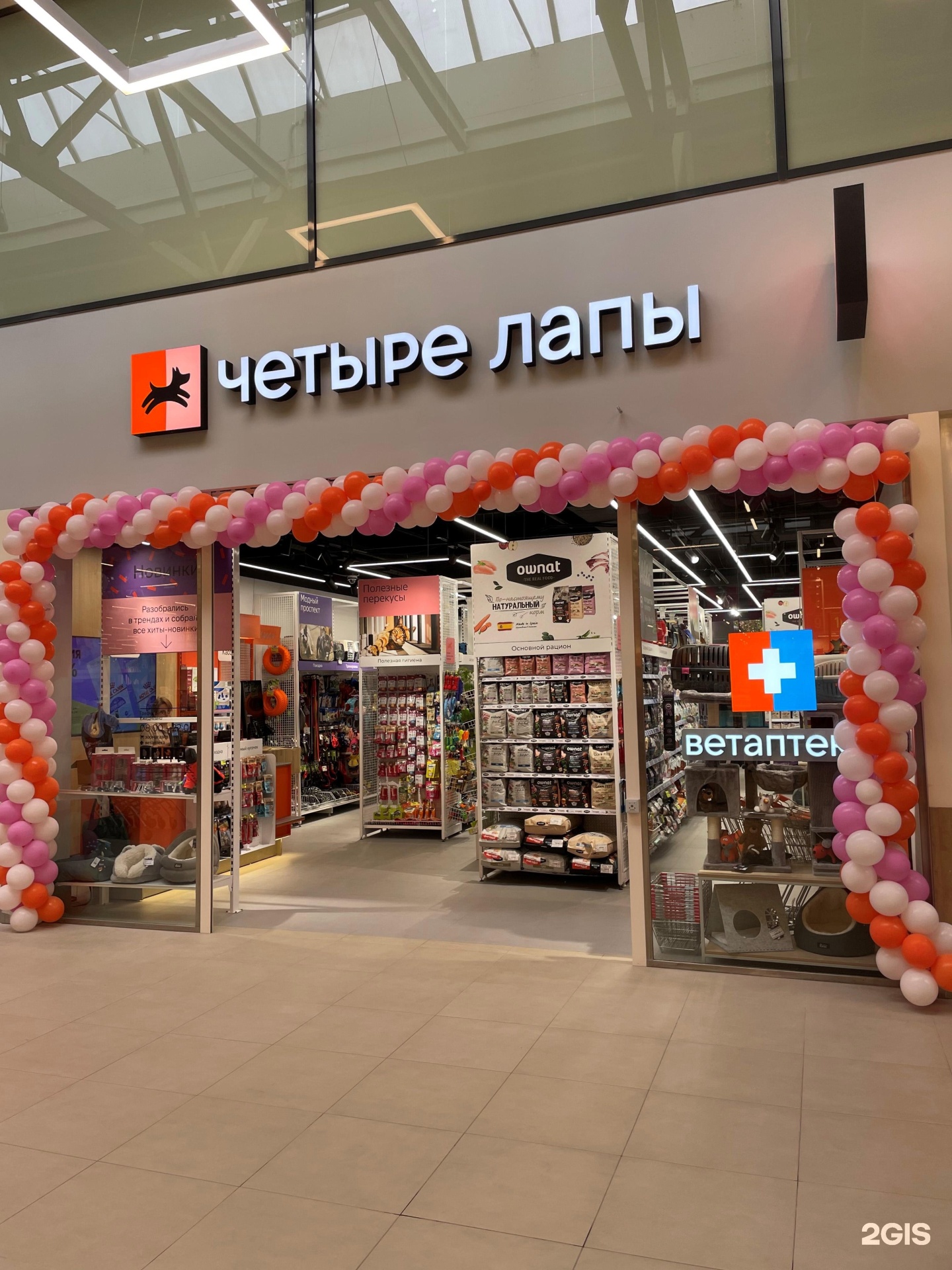 Четыре Лапы Москва Новогиреево