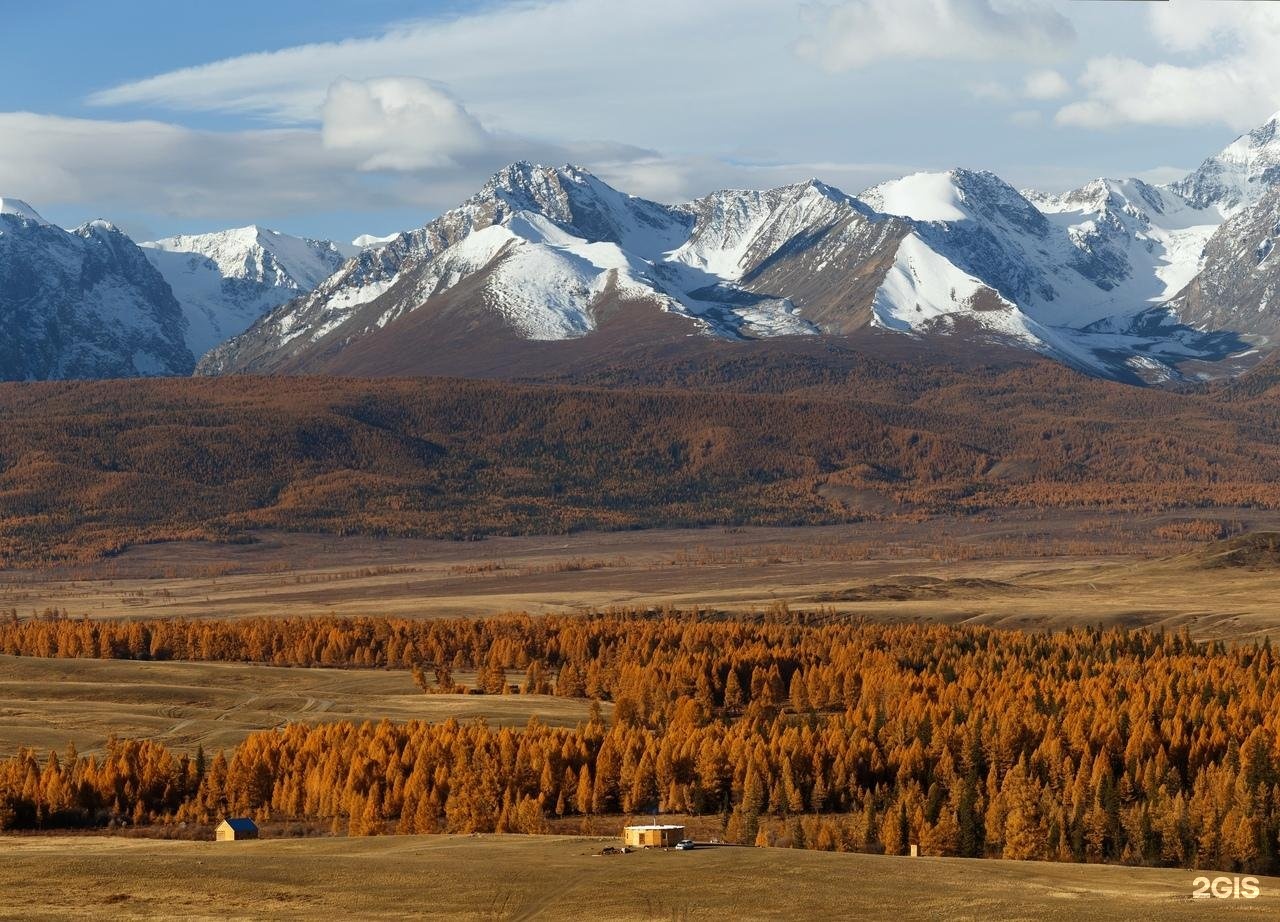 Курайская степь горный Алтай