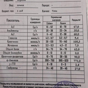 Фото от владельца Доктор Айболит, сеть ветеринарных клиник