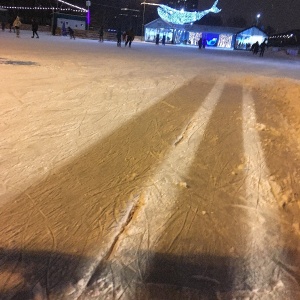 Фото от владельца Екатеринбургский Центральный Парк Культуры и Отдыха им. В.В. Маяковского