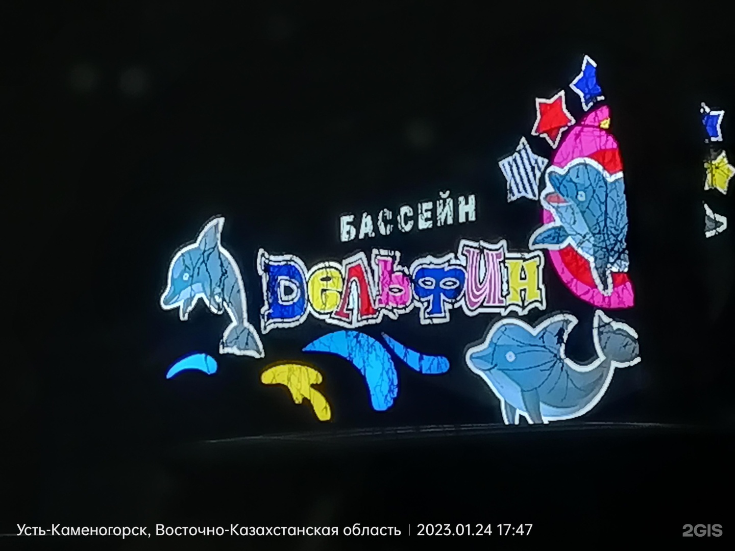 Дельфин