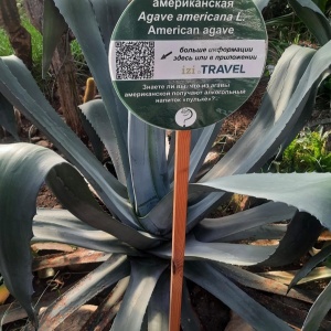 Фото от владельца Ботанический сад, ИГУ