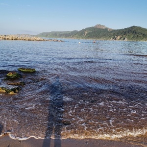 Фото от владельца Морской Бриз в Шепалова, база отдыха