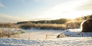 Анохово: Коттедж Озёрная