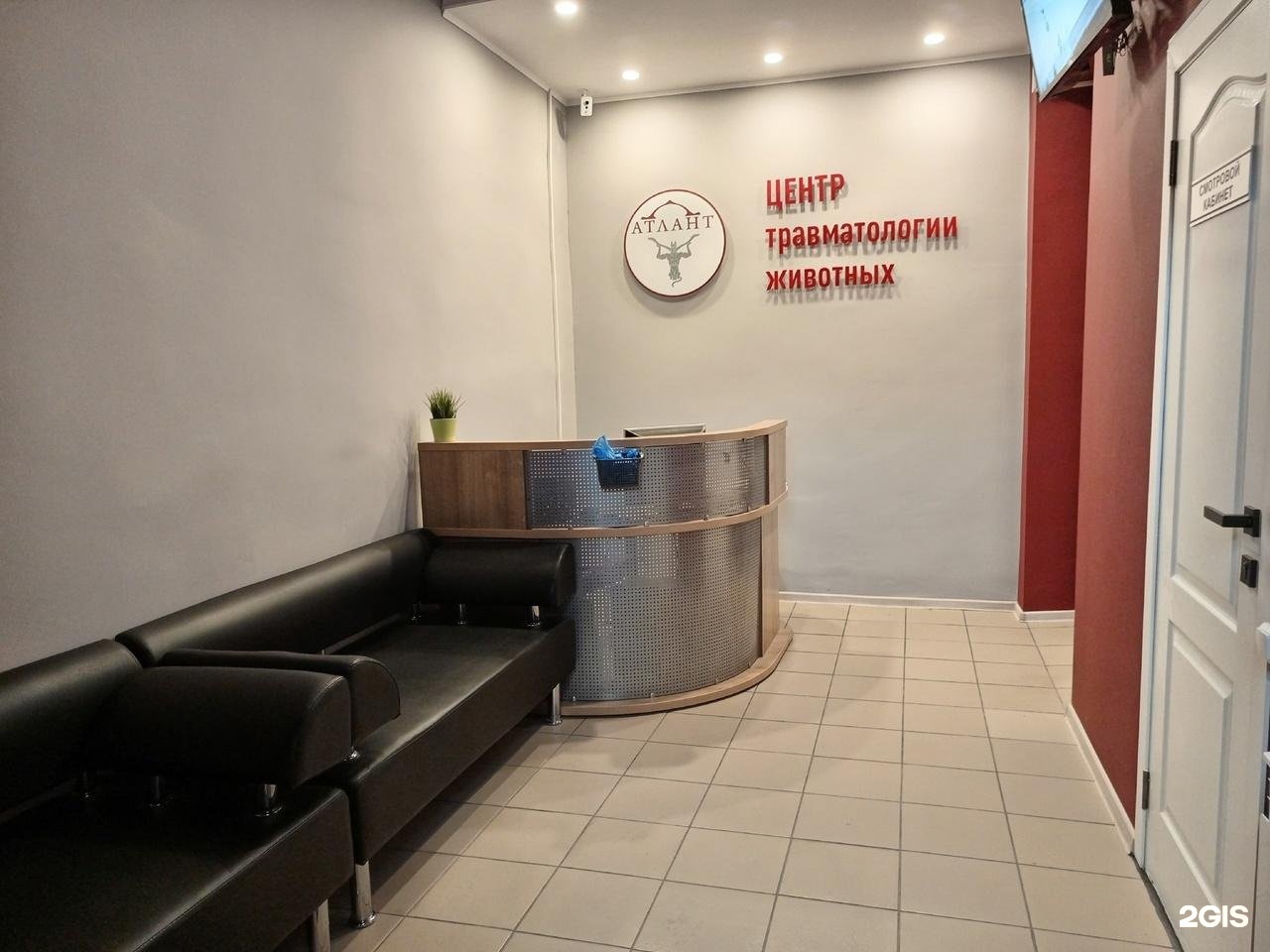 Центр травматологии животных. Медцентр травматологии и ортопедии в спб. Ветклиника атлант. Центр травматологии животных самошкин. Центр травматологии животных самошкин.