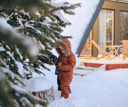 Коттедж Scandi house в Тобольске