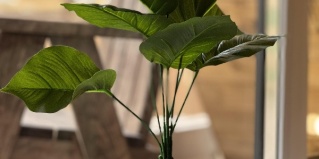 Иннолово: Коттедж Eco house