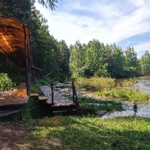 Фото от владельца Лукоморье, парк деревянных скульптур