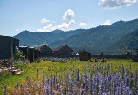 Отель Altay Nebo в Республике Алтай