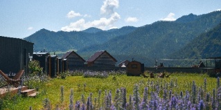 Узнезя: Отель Altay Nebo