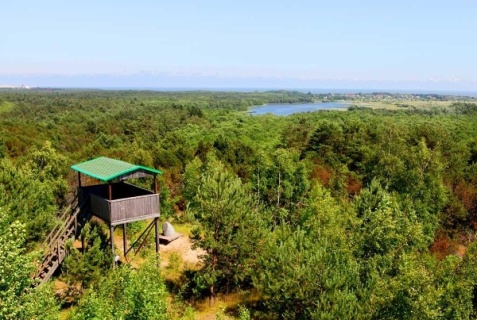 Зеленоградск: Отель Априори
