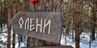 Киржачский район: Апартаменты Артколхоз