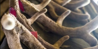 Тюгурюк: Отель Заимка Камза