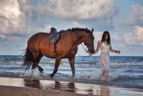 Сосновый Бор: Кемпинг Wind hunters station