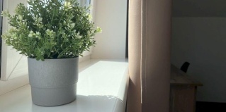 Балтийск: Гостевой дом Эмма