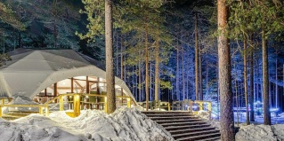 Выборгский муниципальный район: Глэмпинг Forest lake