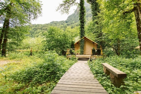 Чвижепсе: Глэмпинг Лес